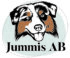 Jummis AB logotyp