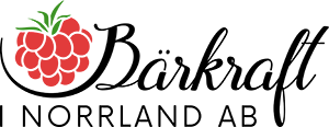 Bärkraft i Norrland AB logotyp