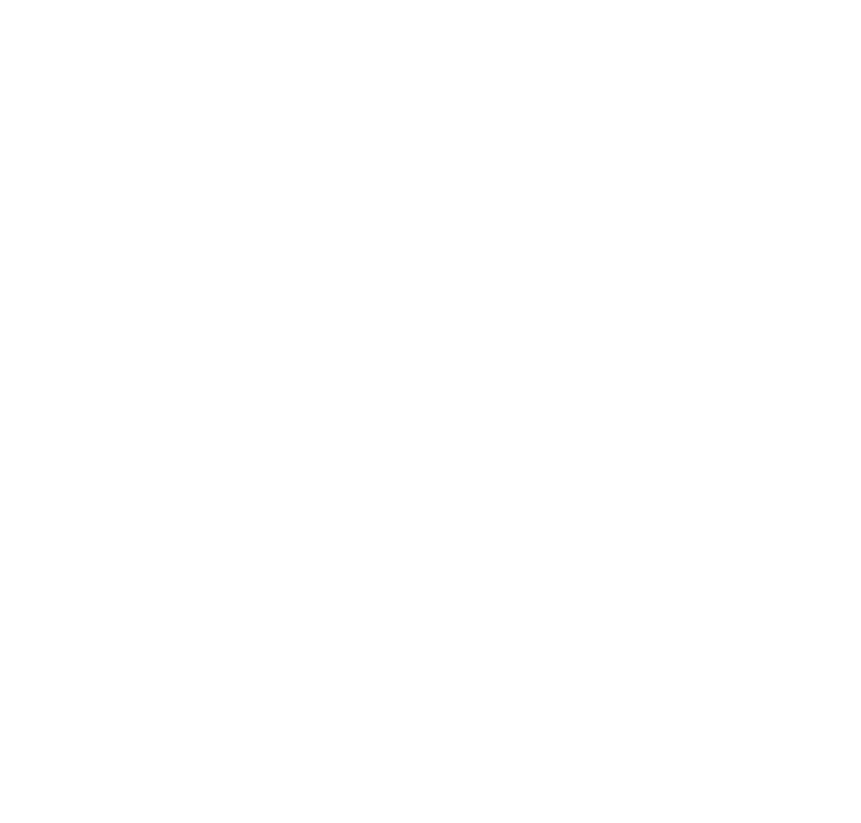 Bergslagen Sport Center AB logotyp
