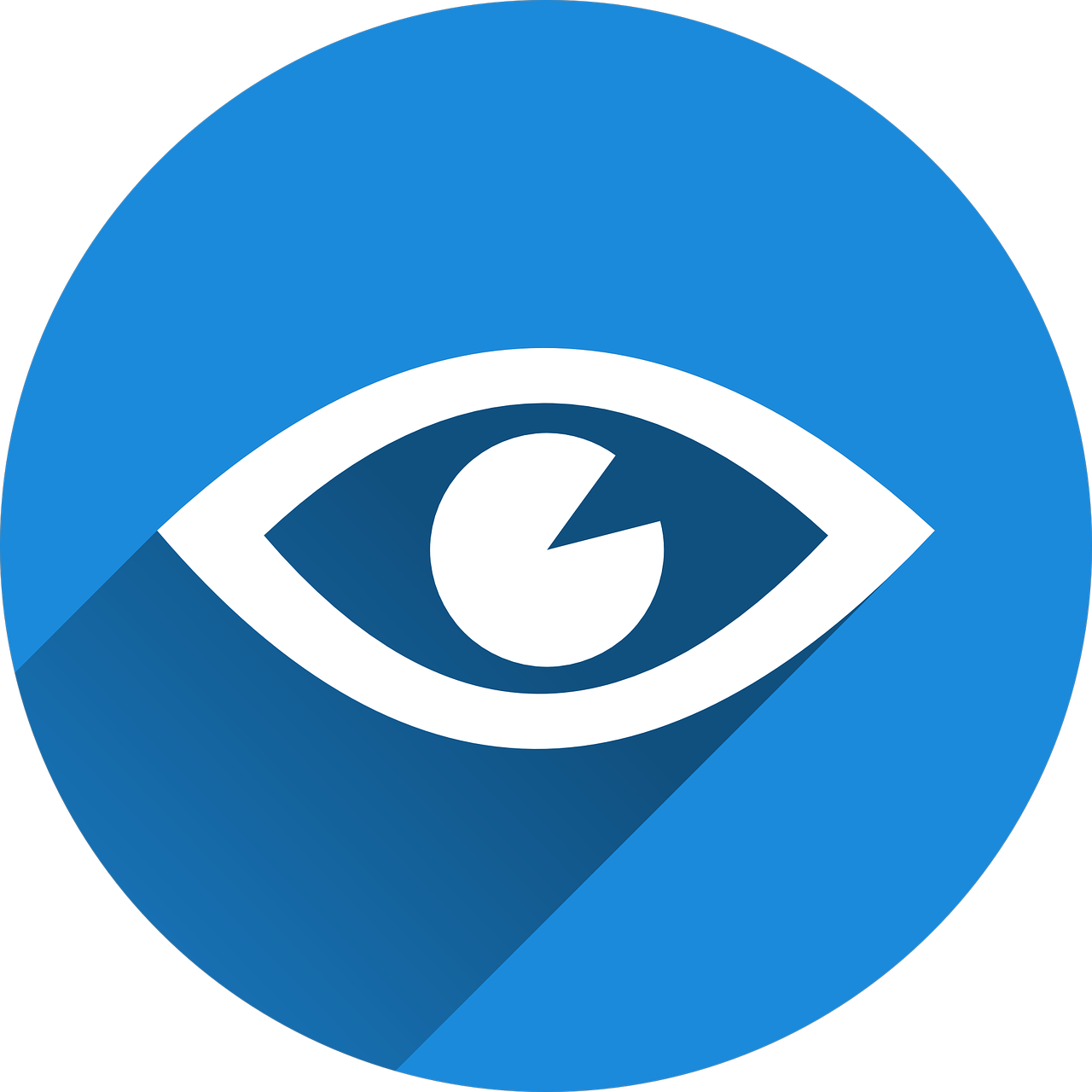 Datafocus Consulting Roland Andersson AB logotyp
