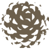 High Coast Forestry AB logotyp