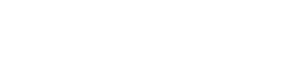 BICO International AB logotyp