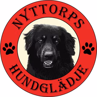 Nyttorpsgruppen AB logotyp