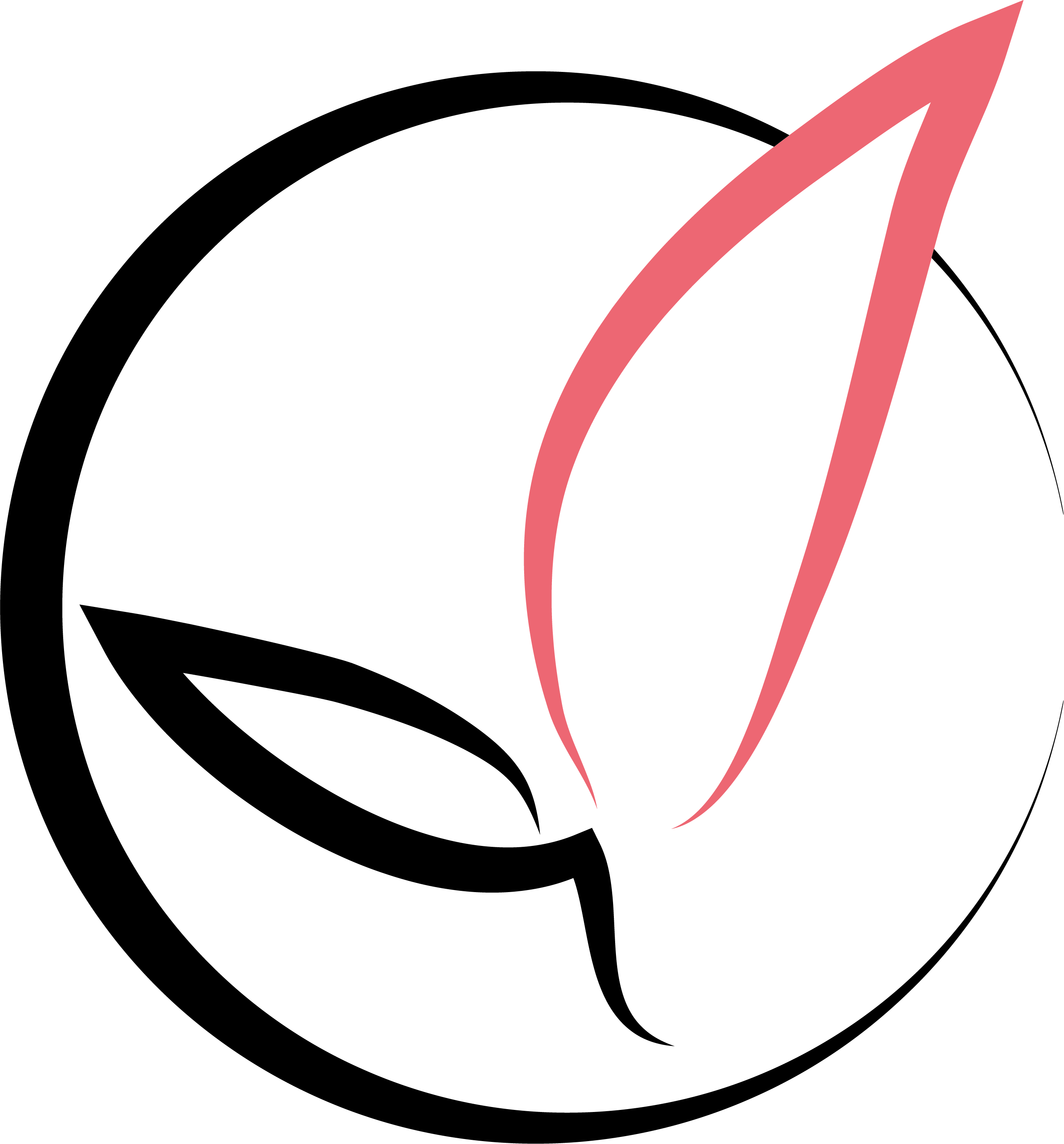 Potare Consulting AB logotyp