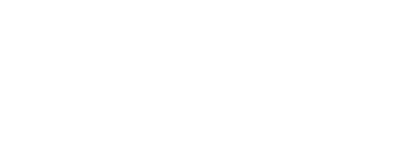 Connect Airport Property AB logotyp