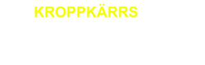 Kroppkärr Pizzeria AB logotyp
