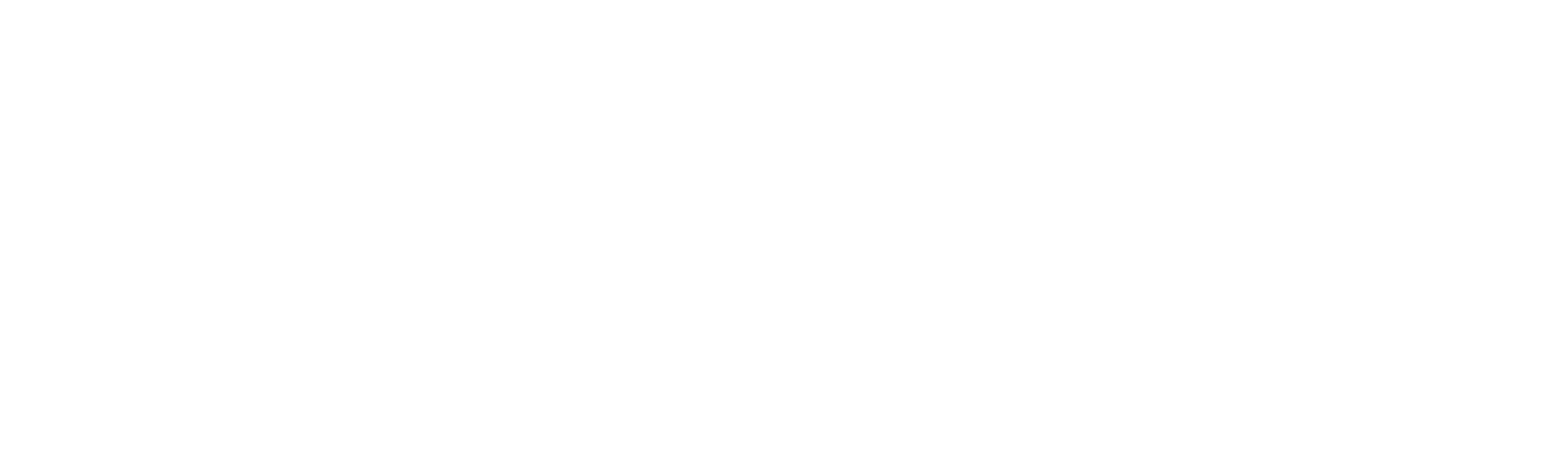 Bjorkstrand Consulting AB logotyp