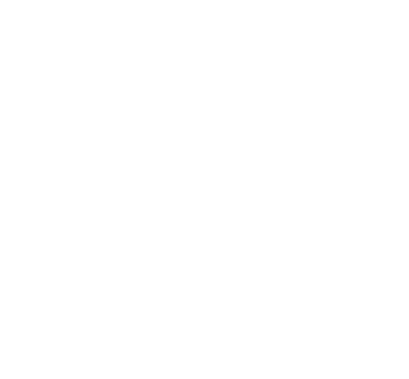 FMT Skogsvård AB logotyp