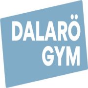 Dalarö Gym AB logotyp