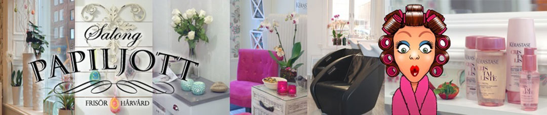 Salong Papiljott i Sundsvall AB logotyp