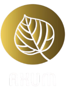 Axum AB logotyp