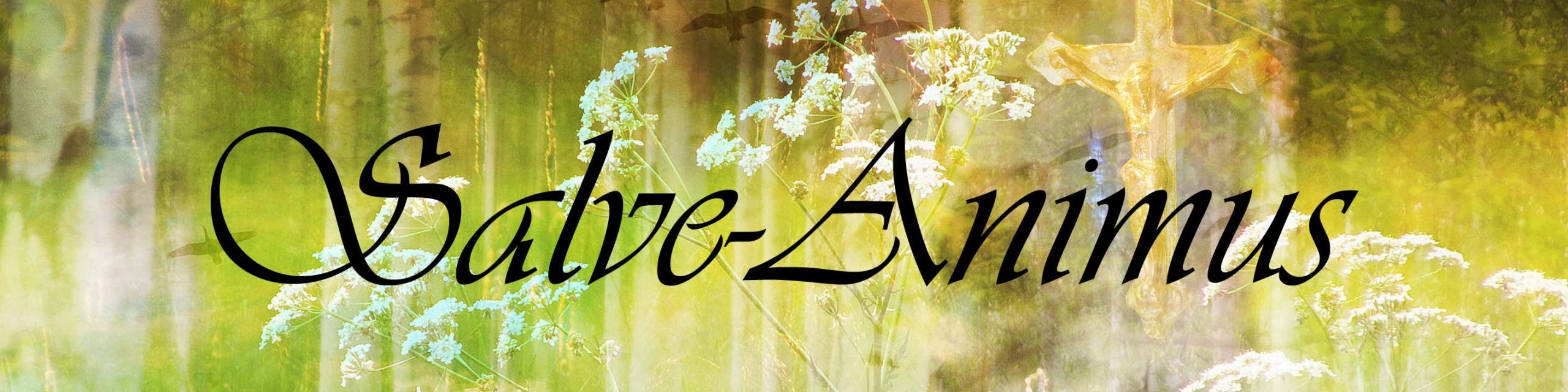 Salve Animus AB logotyp