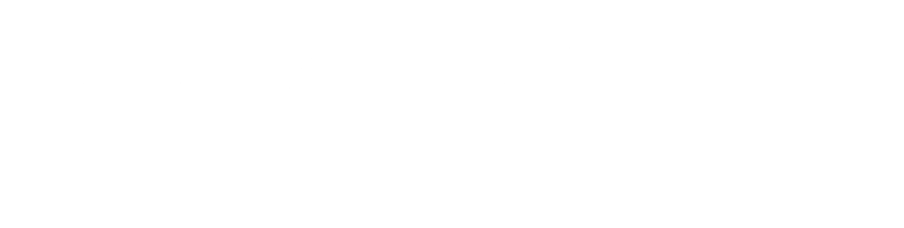 ZacZess AB logotyp