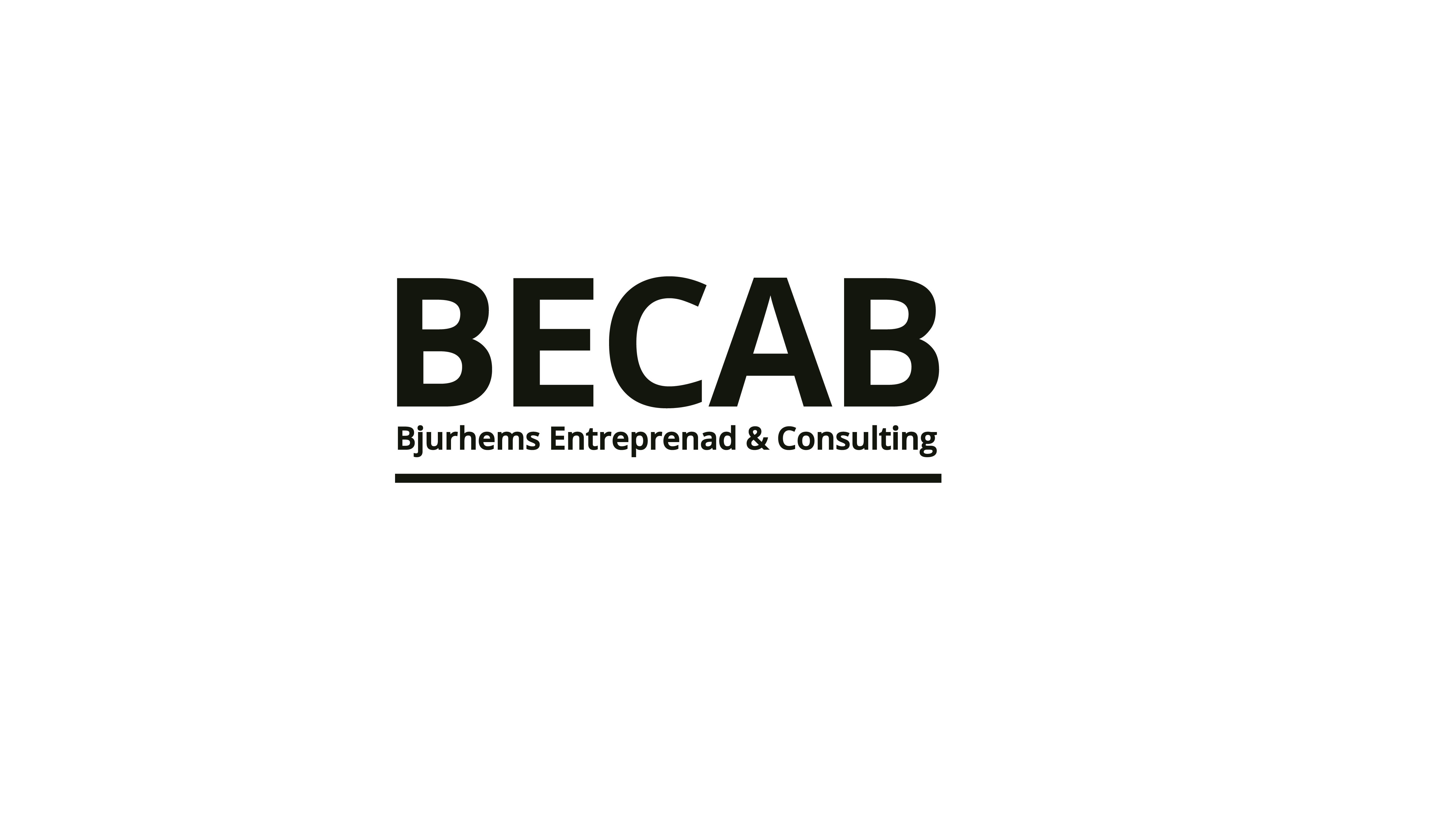 Bjurhems Entreprenad och Consulting AB logotyp