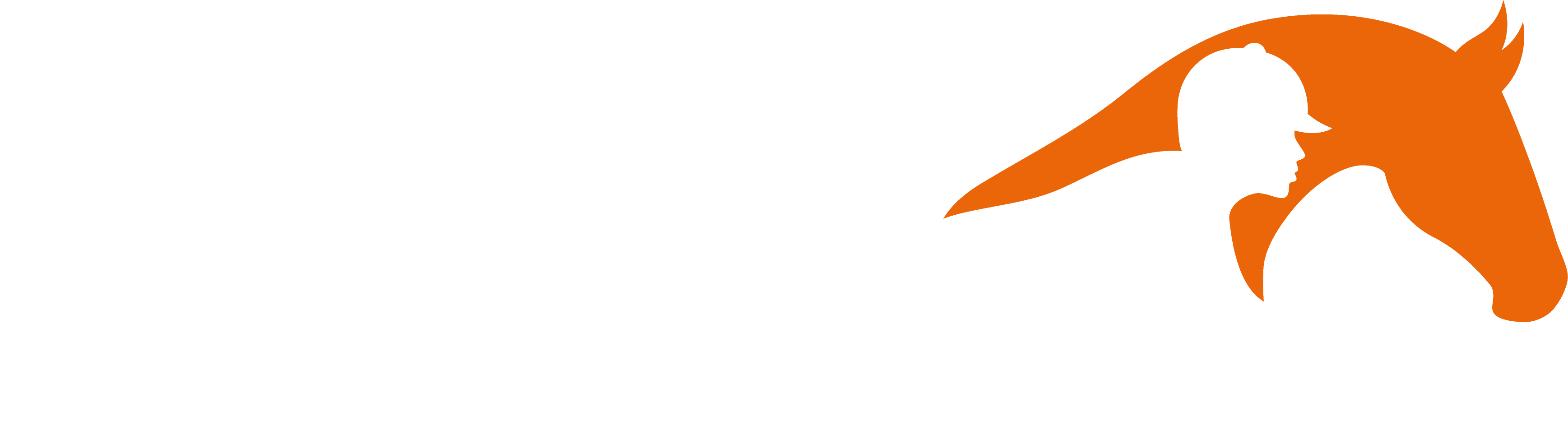 Strong Rider Tech AB logotyp
