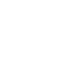 Dala Industrisupport AB logotyp