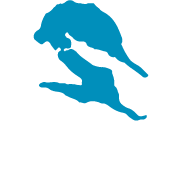 Dellen Kött & Vilt AB logotyp