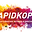 Rapidkopia I Norrköping AB logotyp