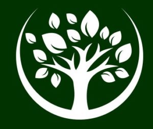 Big Green Tree Media AB logotyp