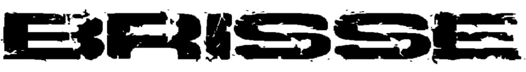Brisse AB logotyp
