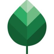 Pinnate AB logotyp