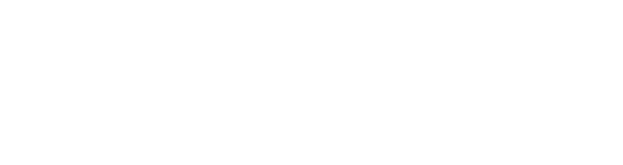 Åre Nature Adventures AB logotyp