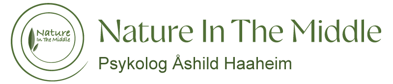 Nature in The Middle AB logotyp