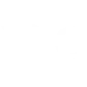 Premium Lifestyle Club AB logotyp