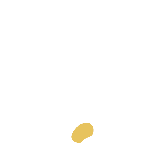 Filmsnickeriet AB logotyp