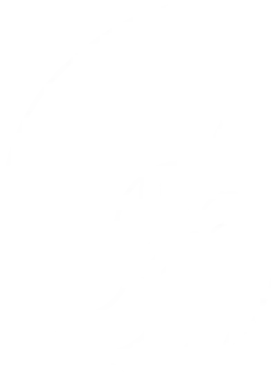 Shellman Scandinavia AB logotyp