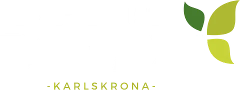 D2 Taxi AB logotyp