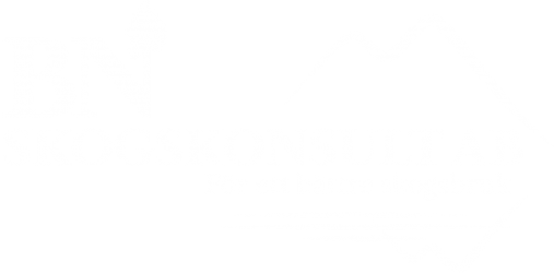 BN Skogskonsult AB logotyp