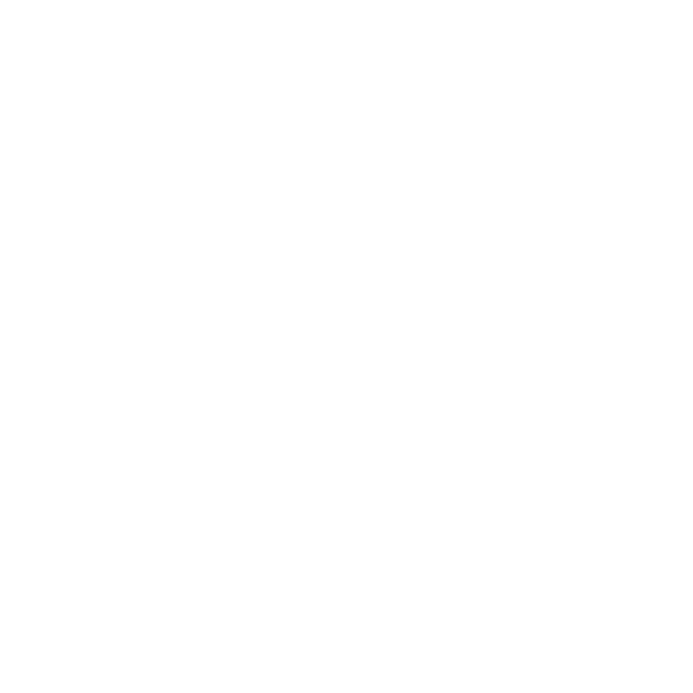 Shady Burgers Eslöv AB logotyp