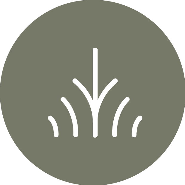 Alingsås Vandrarhem AB logotyp