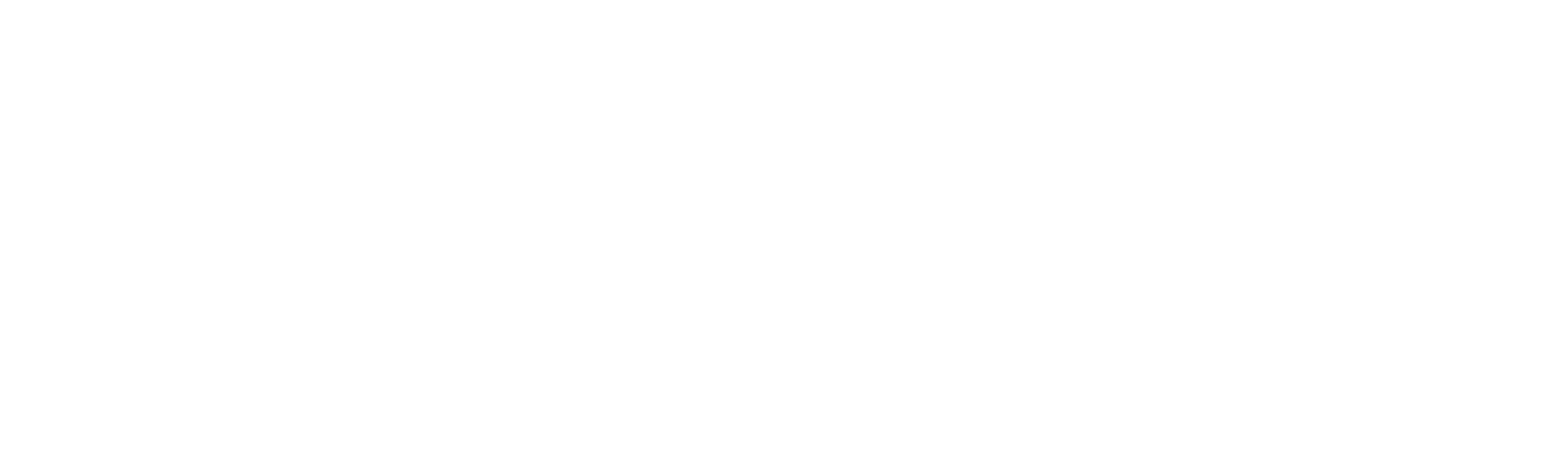 Znugle Technology AB logotyp