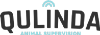 Qulinda AB logotyp