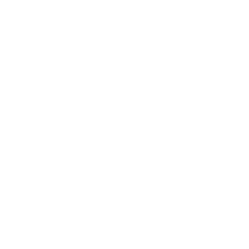 Apex Security AB logotyp