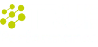 True Performance AB logotyp