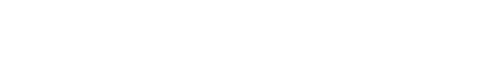 Prime Limousine Stockholm AB logotyp