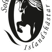 Solvikens Islandshästar AB logotyp