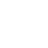 Driftservice Syd AB logotyp