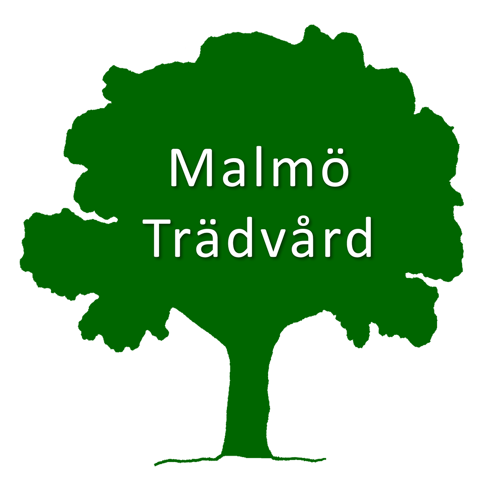 Malmö Trädvård AB logotyp