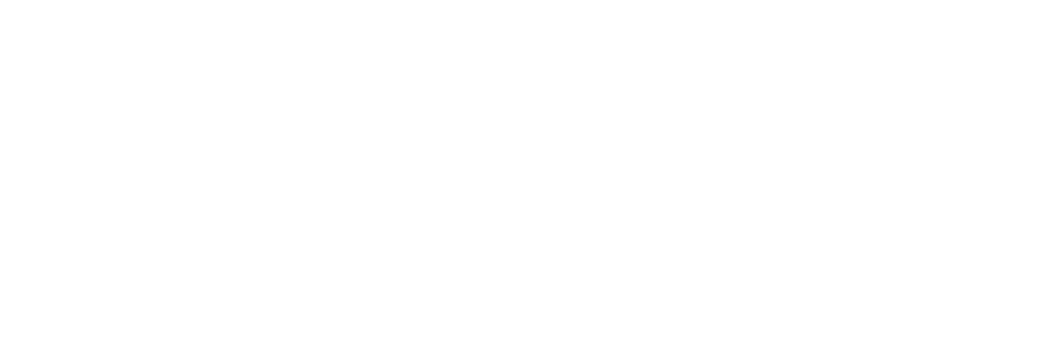 Fröidh Säkerhetskonsult AB logotyp