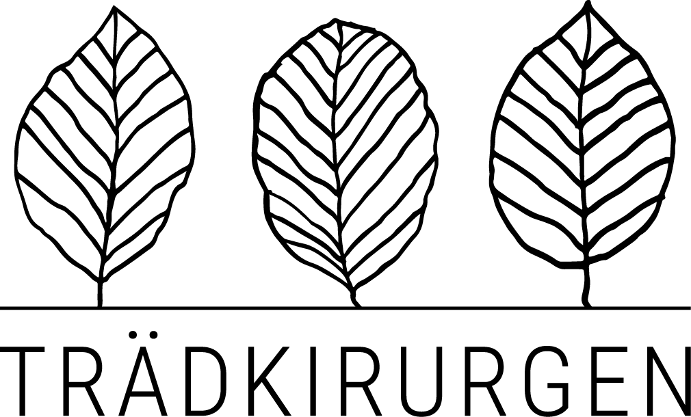 Trädkirurgen i Stockholm AB logotyp