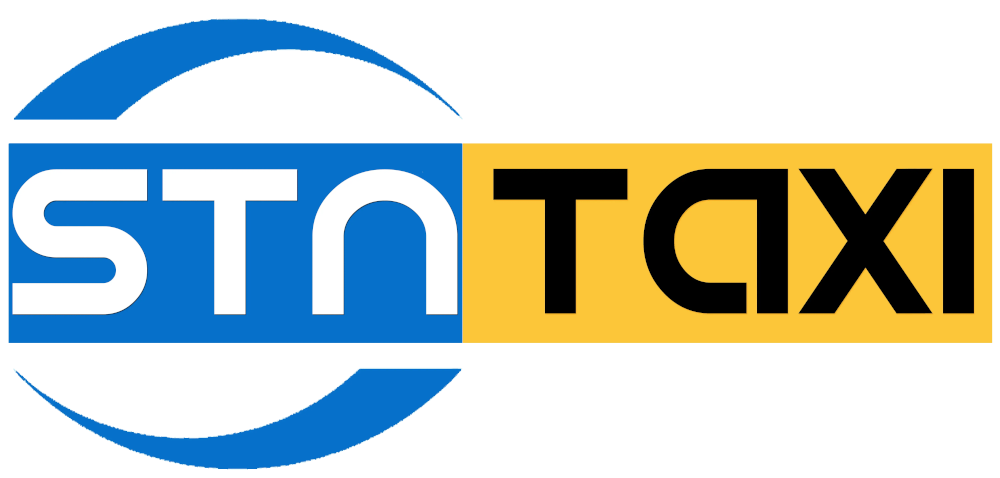 Scandinavian transport Network AB logotyp