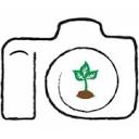 Bildfeeling AB logotyp