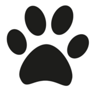 Björknäs Hundfokus AB logotyp