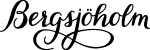 Stall Bergsjöholm AB logotyp