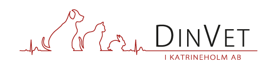 DIN VET i Katrineholm AB logotyp