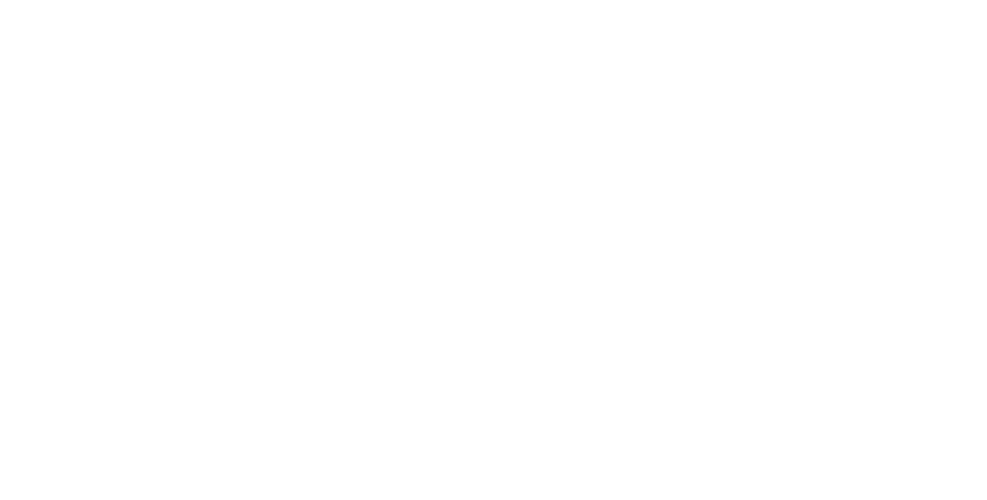 Leew Ekonomi AB logotyp